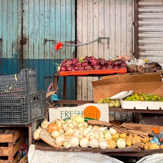Aseguran Droga Oculta en Pañal en Local del Mercado Alianza en Torreón, Coahuila